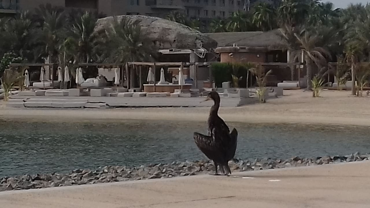 Strand Rixos The Palm Hotel & Suites