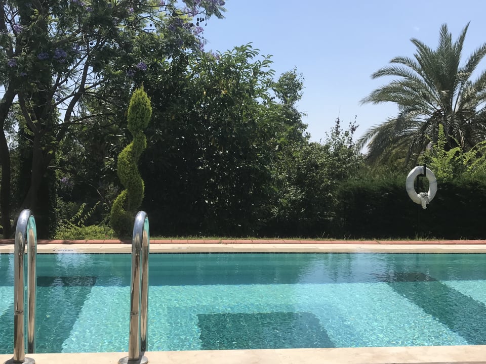 Pool Side Star Elegance