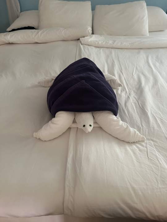 Zimmer Kuredu Island Resort & Spa