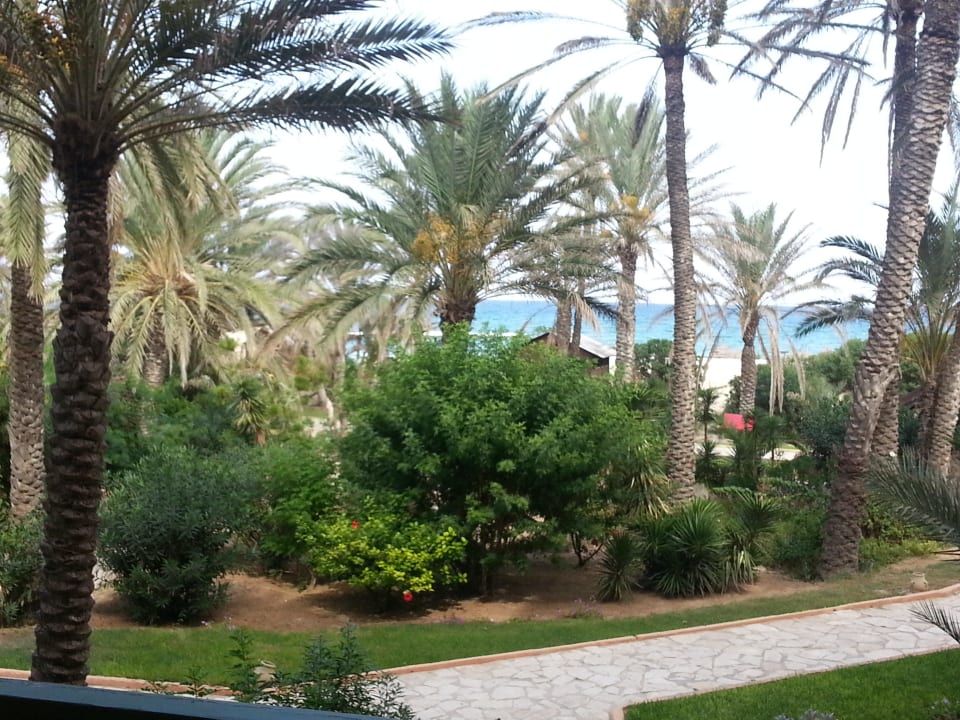 Vom Zimmer El Ksar Resort & Thalasso