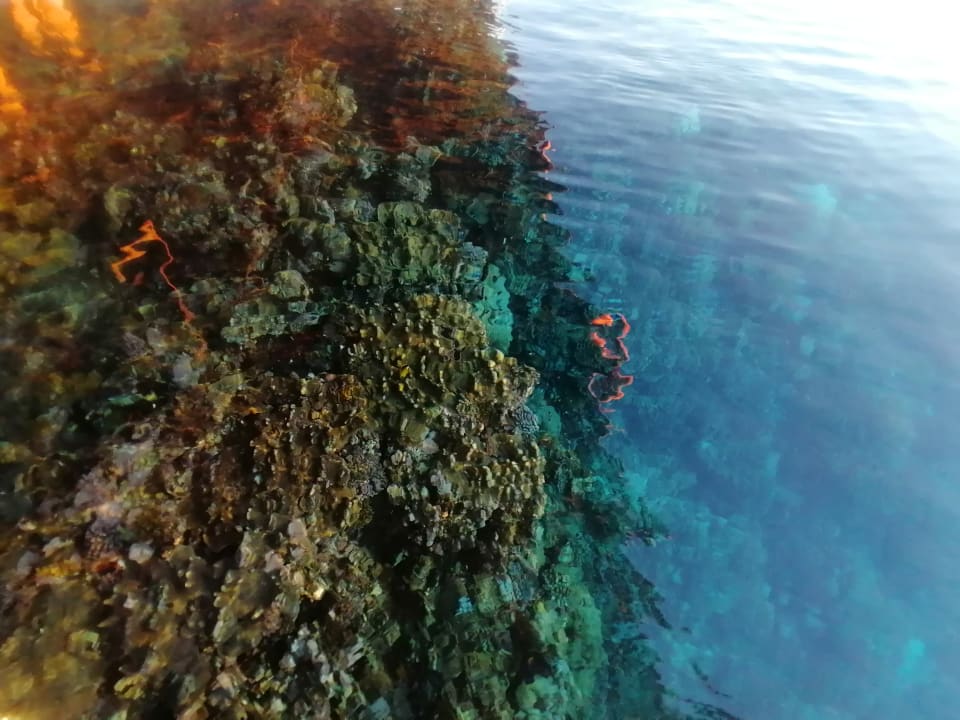 Strand Casa Mare Resort