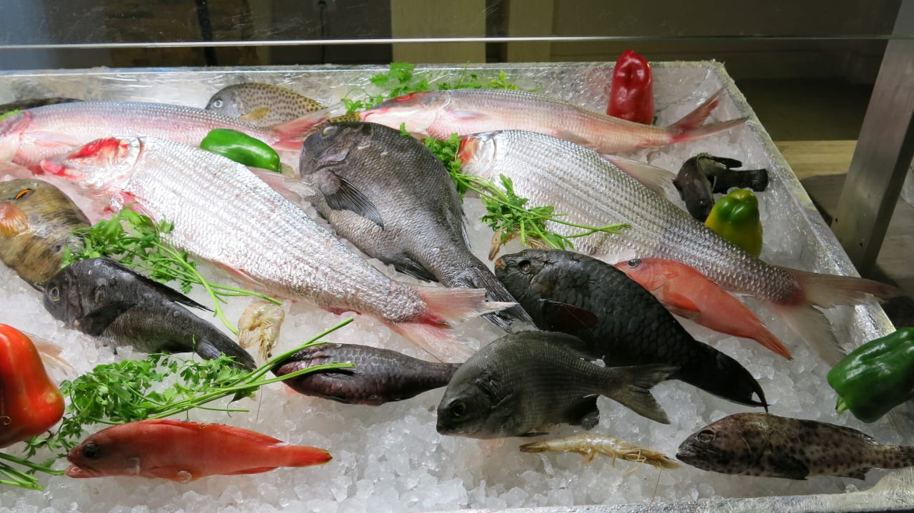 Gastro Pickalbatros Sea World Resort - Marsa Alam