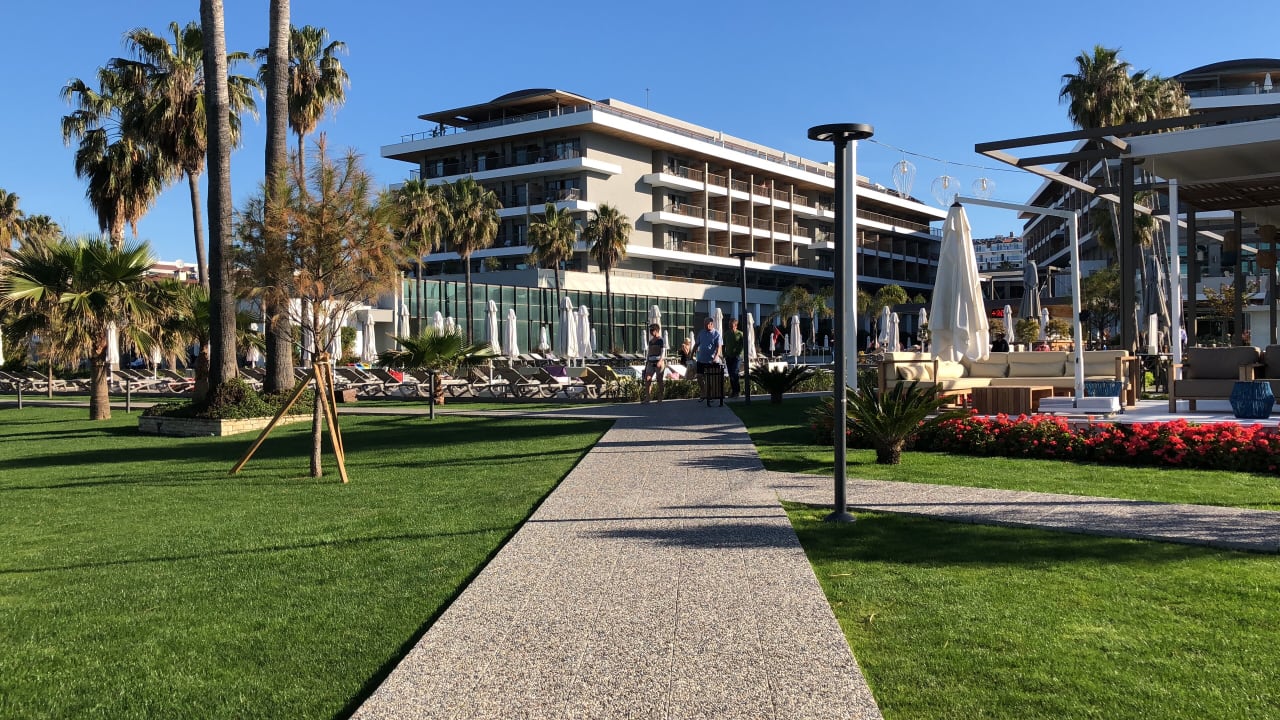Anlage Acanthus Cennet Barut Collection