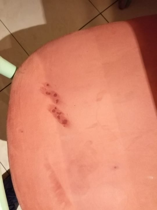 Sonstiges Seehotel Schloss Klink