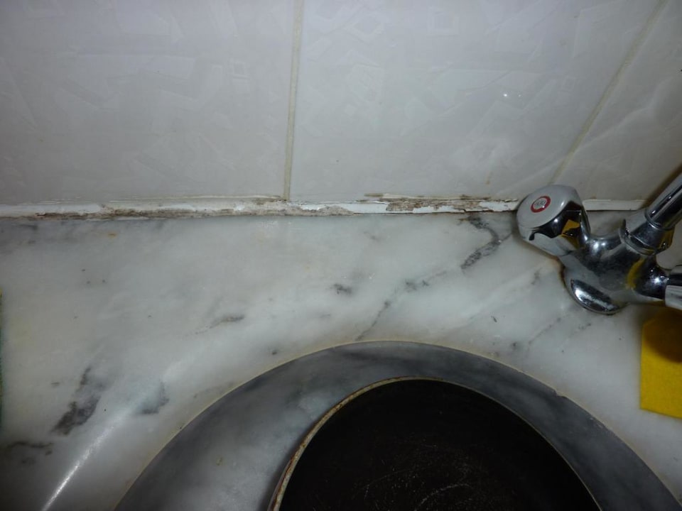 Verschimmelte Küchenarmaturen Cleopatra King Apart