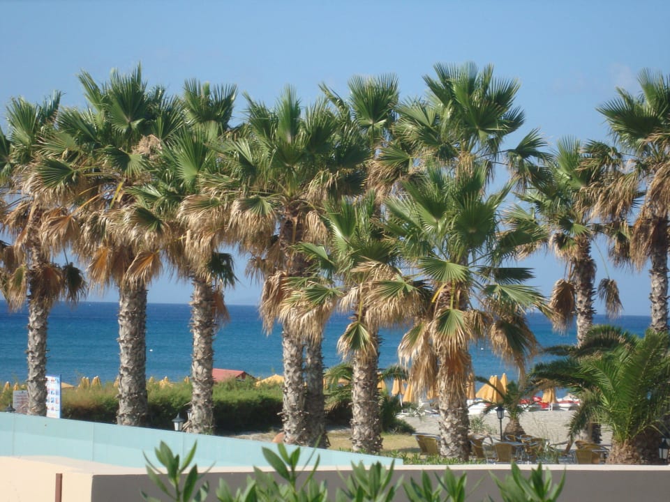 Paradiesisch Porto Bello Beach