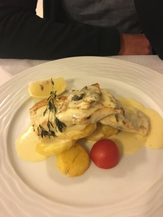 Bulgarisch GRIFID Vistamar