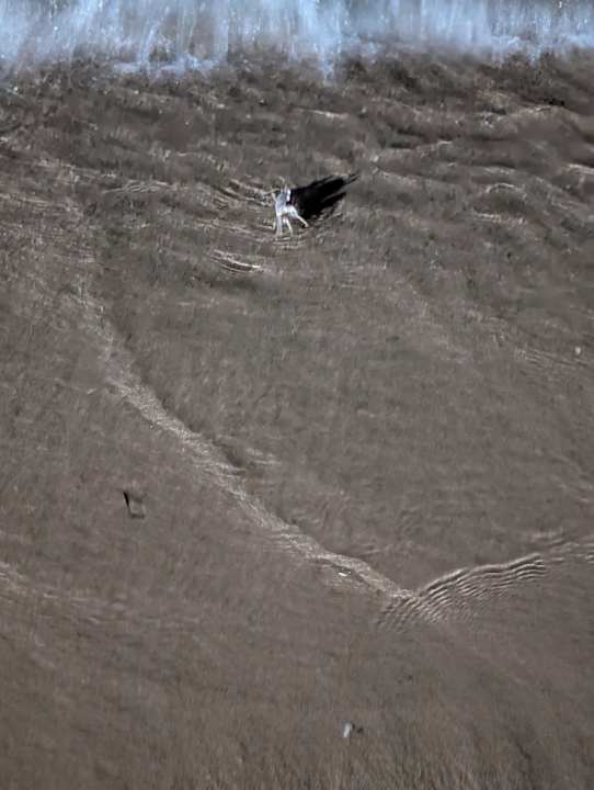 Strand Sentido Caribbean World Soma Bay