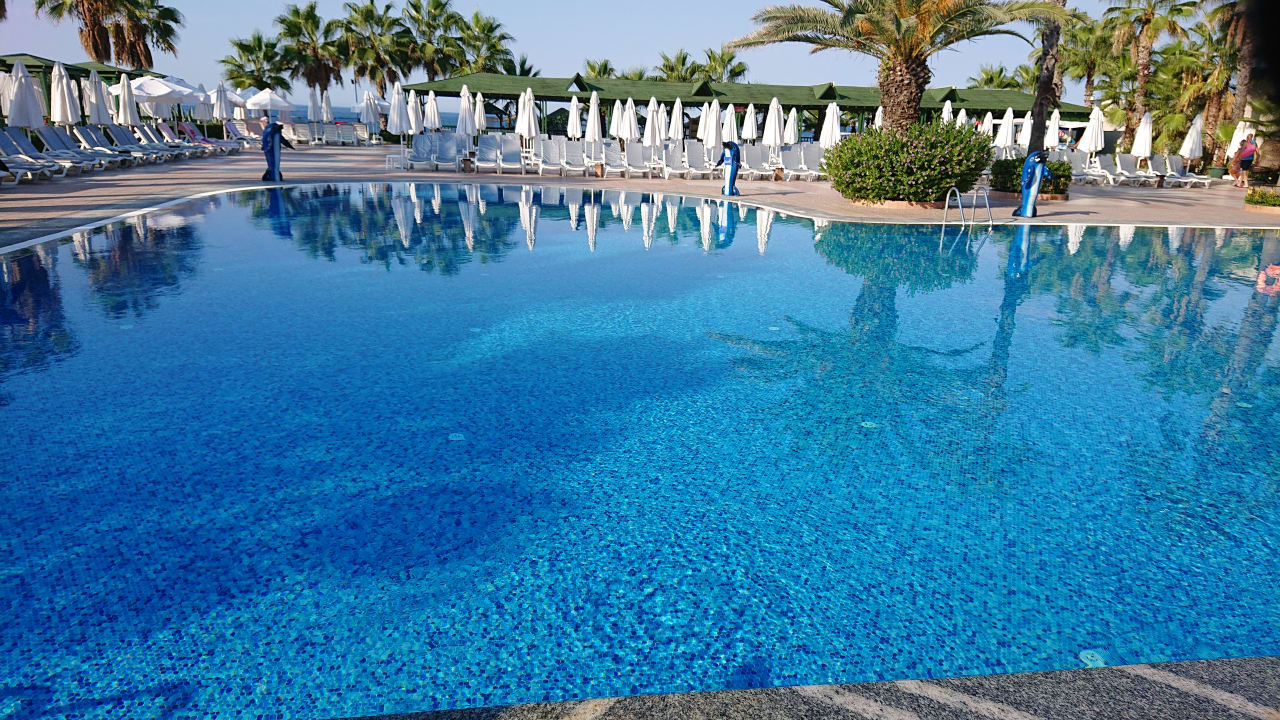 Pool Hotel Botanik Platinum