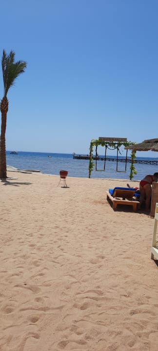 Strand Pickalbatros Palace Resort
