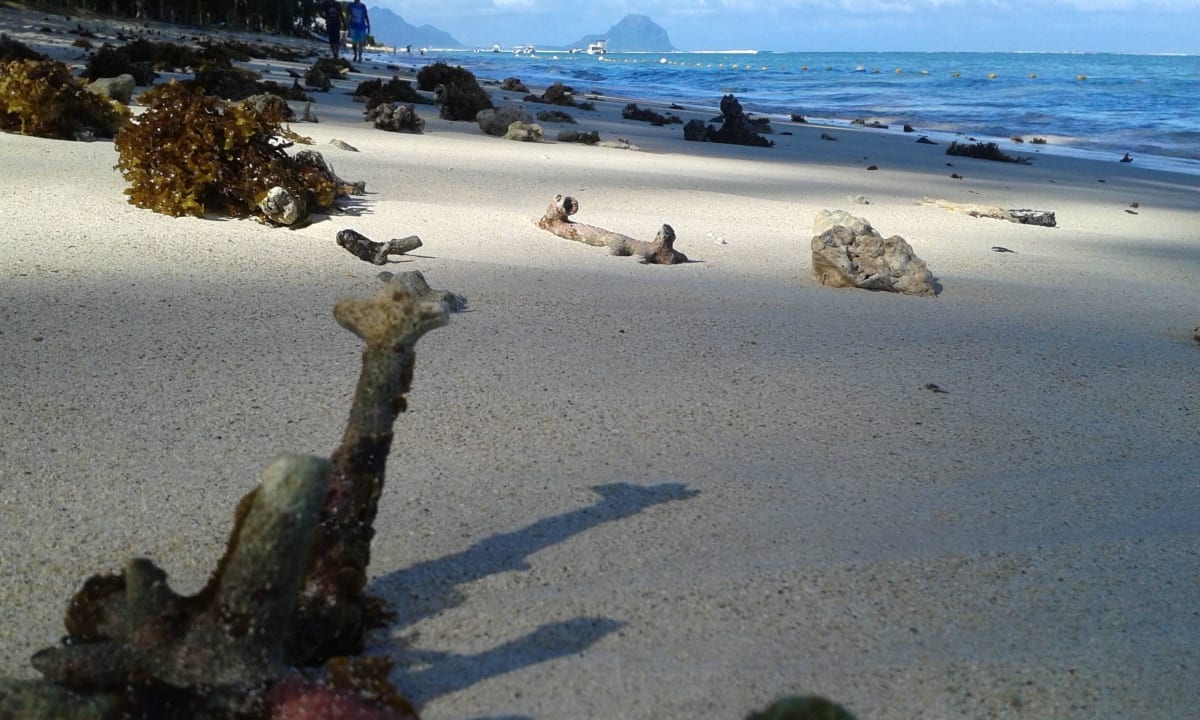 Keine Menschen Hotel Villas Caroline