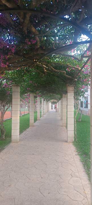 Gartenanlage Protur Floriana Resort Aparthotel