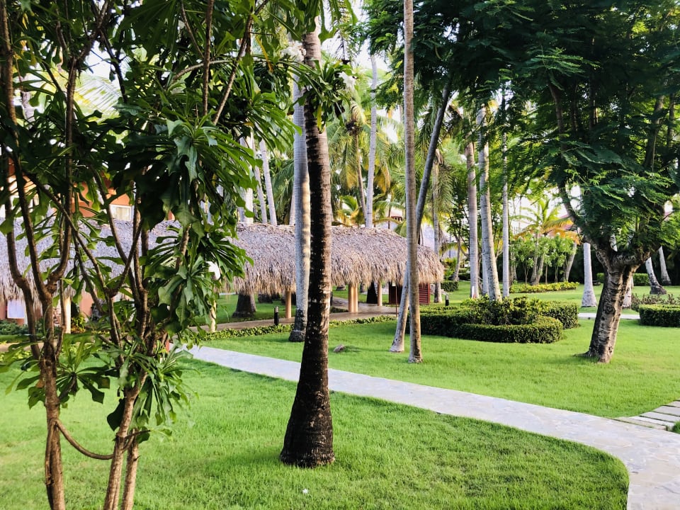 Gartenanlage Hotel Grand Palladium Palace Resort, Spa & Casino