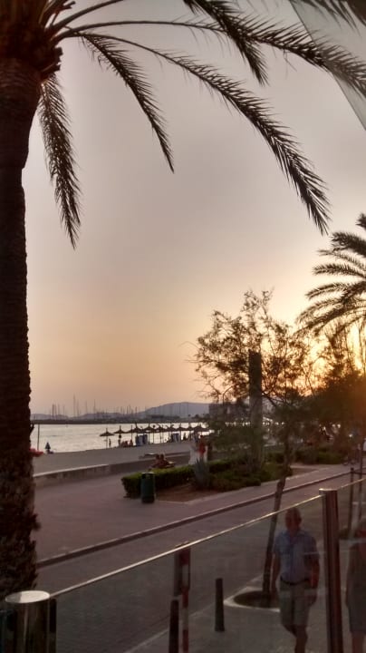 Ausblick Hotel Edén Palma Playa - Adults Only