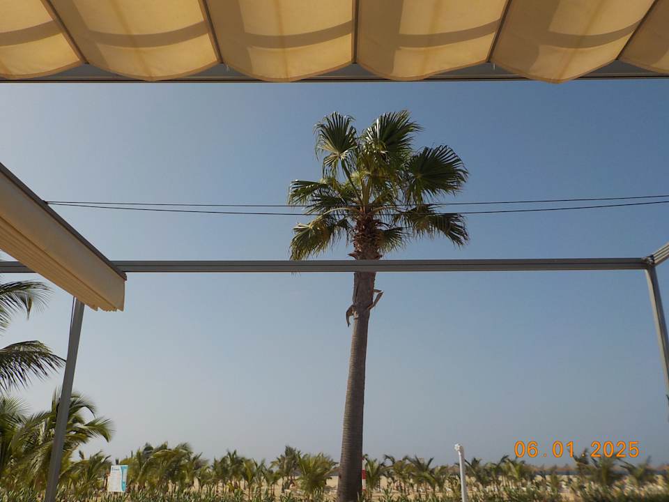 Ausblick Hotel Riu Palace Santa Maria