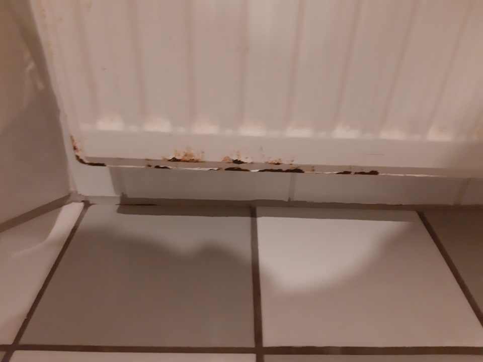 Zimmer Hotel Schloss Köpenick by Golden Tulip