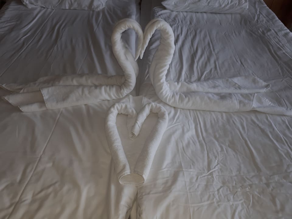 Zimmer Fame Residence Lara & Spa