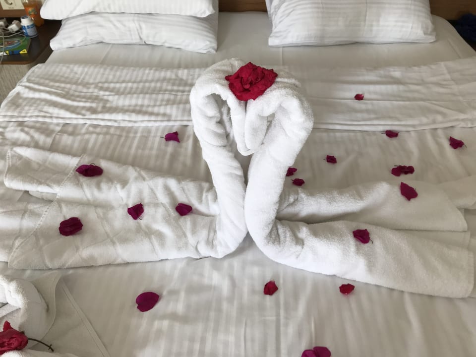Die Putzfrauen geben jeden Tag Ihr Bestes  Michell Hotel & Spa