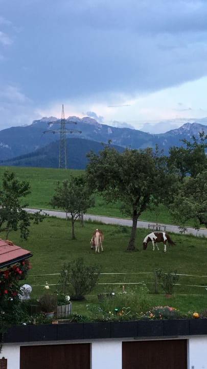 Ausblick Ferienwohnung Heissenhof