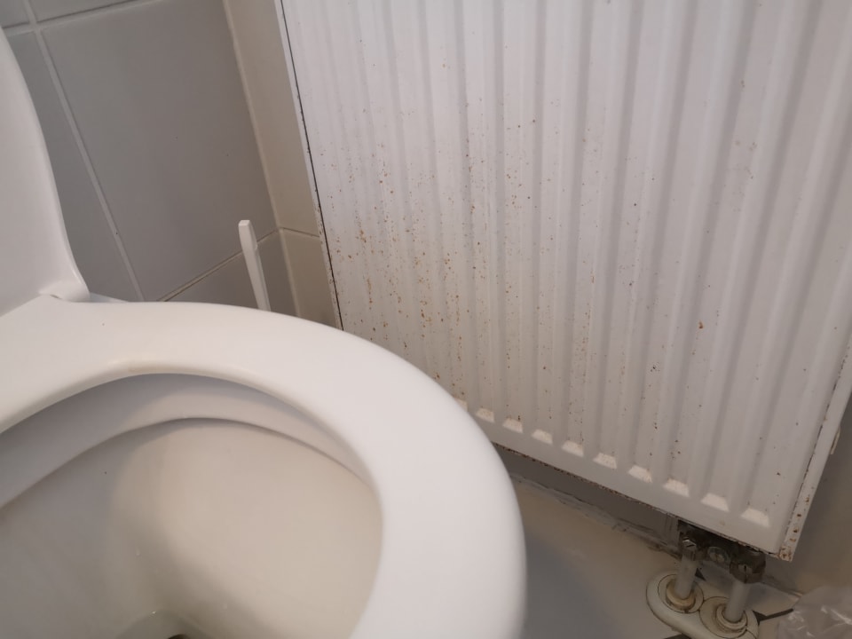 Zimmer Hotel Bayerischer Wald