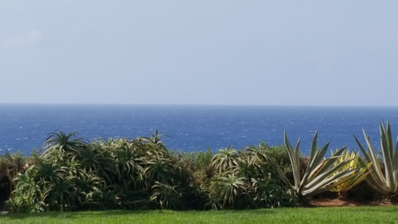 Ausblick ROBINSON ESQUINZO PLAYA