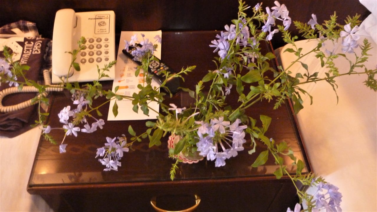 Zimmer Menaville Safaga