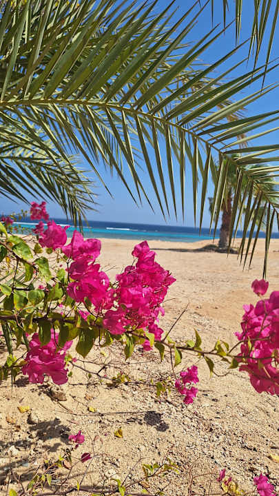 Strand Wadi Lahmy Azur Resort