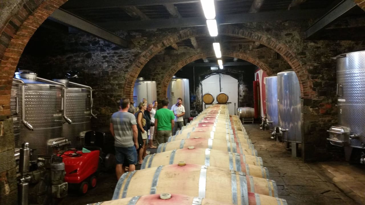 Eier der 3 Weinkeller Hotel Fattoria Castelvecchi