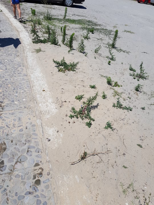 Gartenanlage HI Hotels Imperial Resort