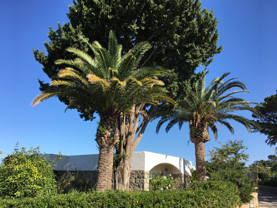 Gartenanlage Aldiana Club Rocca Nettuno Calabria