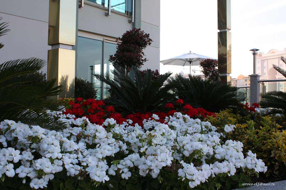 Delphin Imperial Hotel Delphin Imperial