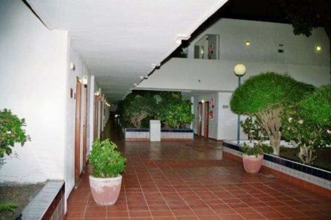 Blick aus Zimmer 111 allsun Hotel Los Hibiscos