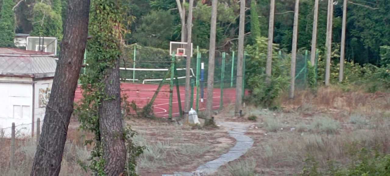 Sport & Freizeit Hotel Forest Beach