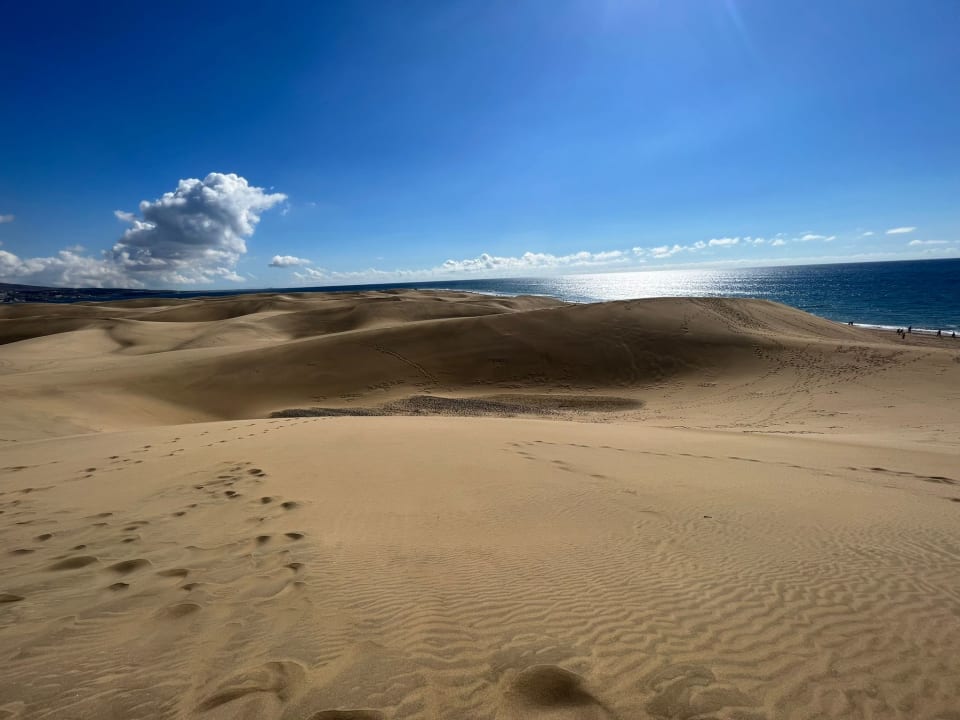 Sonstiges Hotel Riu Palace Oasis
