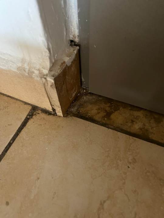 Zimmer Kiani Beach Resort Family All Inclusive