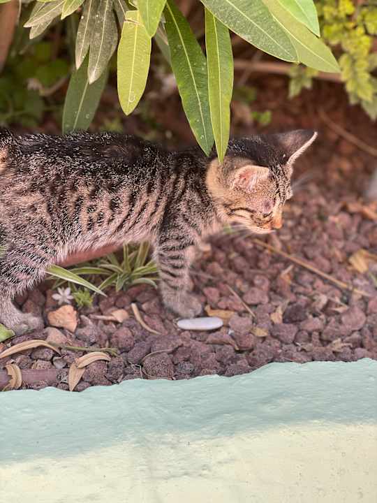 Sonstiges Hotel Delphin Imperial