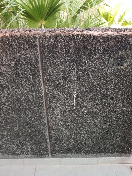 Zimmer Melia La Palma Hotel