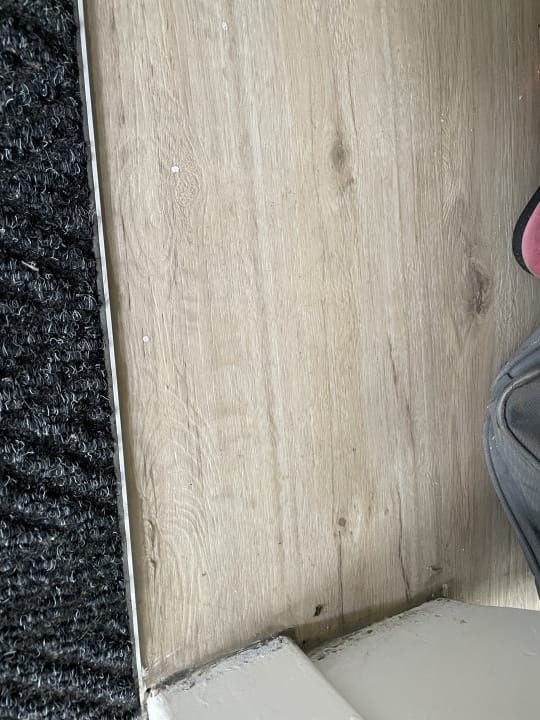 Zimmer Center Parcs Park Zandvoort - Ferienhäuser