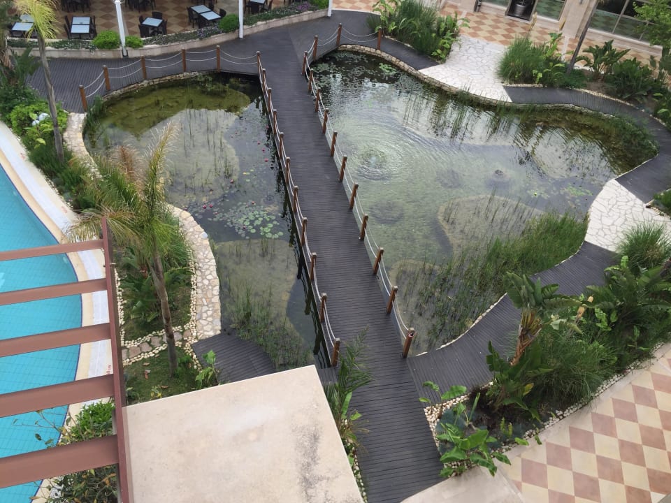 Kleiner Gartenteich Paloma Pasha