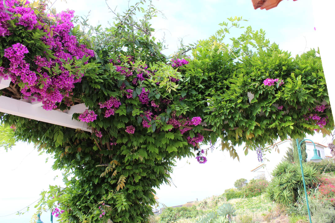 Terrasse Villa Opuntia - Adults only