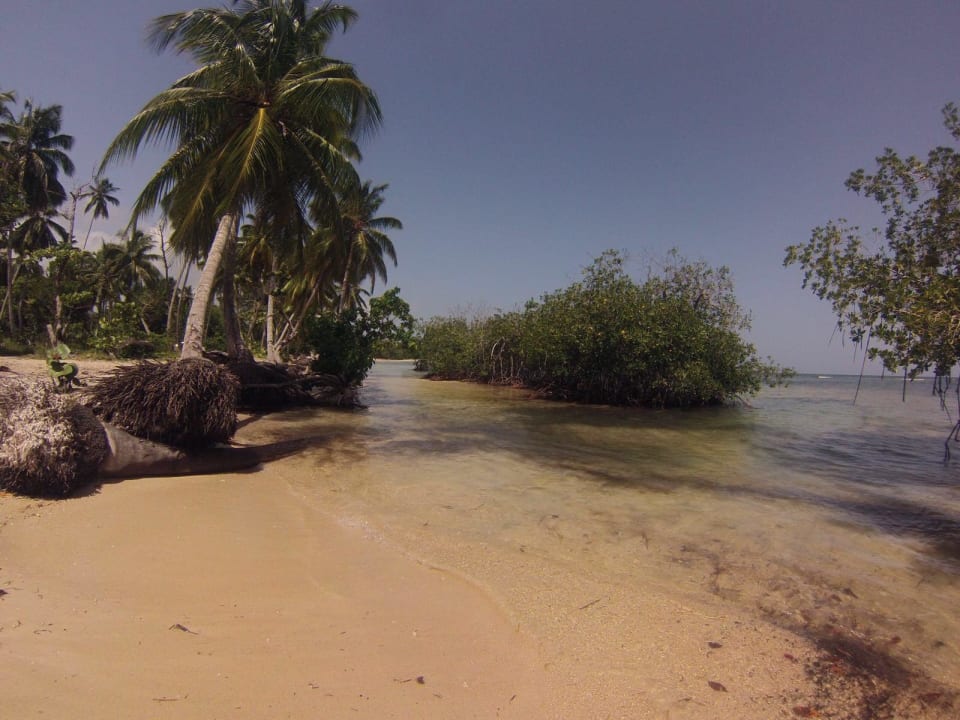 Am Strand entlang Bahia Principe Grand El Portillo