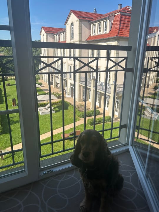 Zimmer Naturresort & Spa Schindelbruch