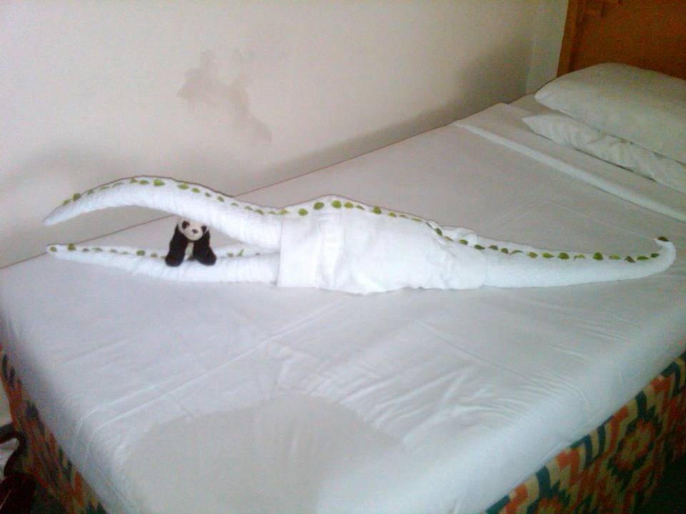 Oragami croc by our maid SUNRISE Holidays Resort (Adults Only)