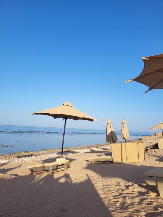 Strand Serenity Alpha Beach