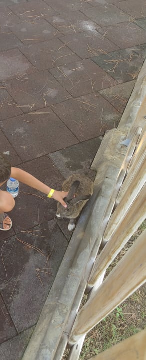 Gartenanlage Labranda Alantur Resort