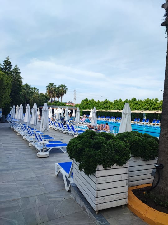 Pool Hane Family Resort