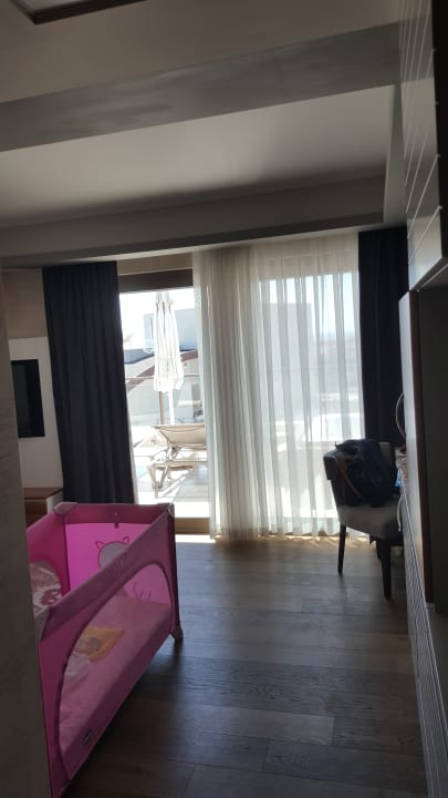 Zimmer Acanthus Cennet Barut Collection