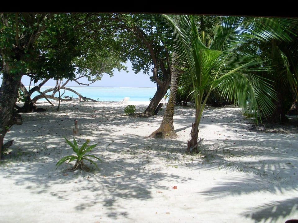 Aussicht von Beach-Villa Nr. 214 Meeru Maldives Resort Island