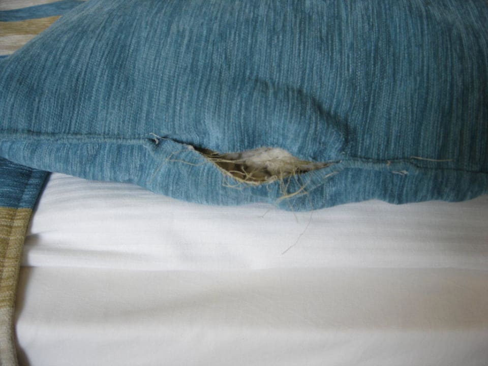 Erstes Zimmer Sunis Evren Beach Resort Hotel & Spa