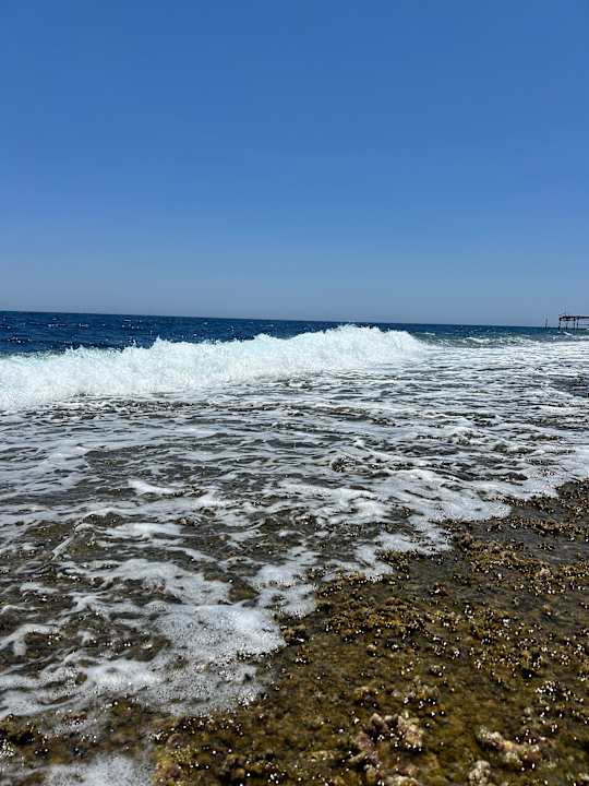 Strand Coral Hills Resorts & SPA